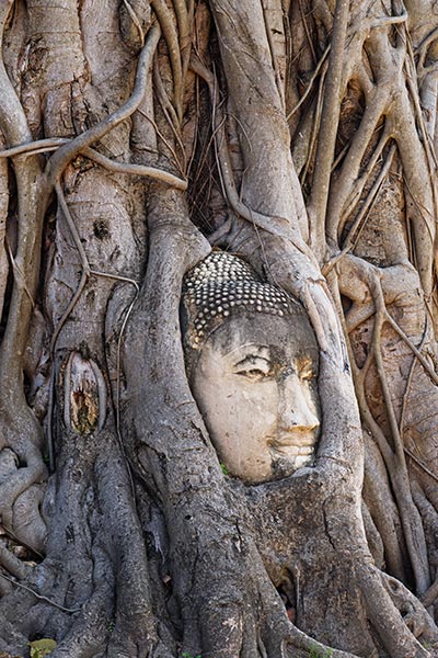 picture of Ayutthaya