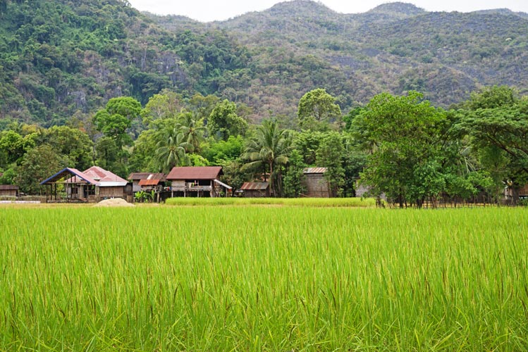 picture of Laos