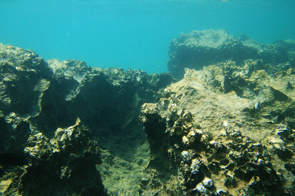 picture underwater in Thailand