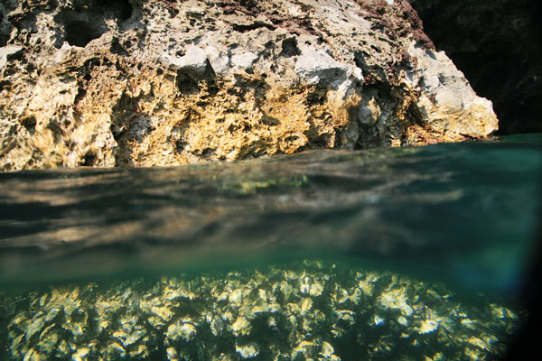 picture underwater in Thailand